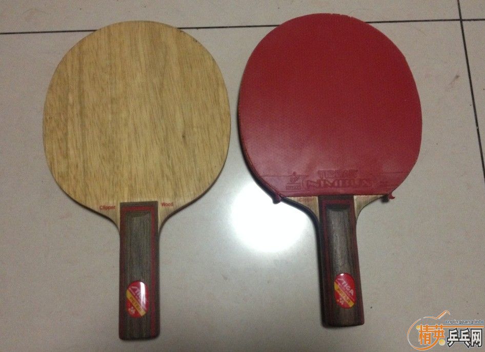 ϻƱCL ST|boll T5000ST ŷ|STIGA ̼FLŷ|