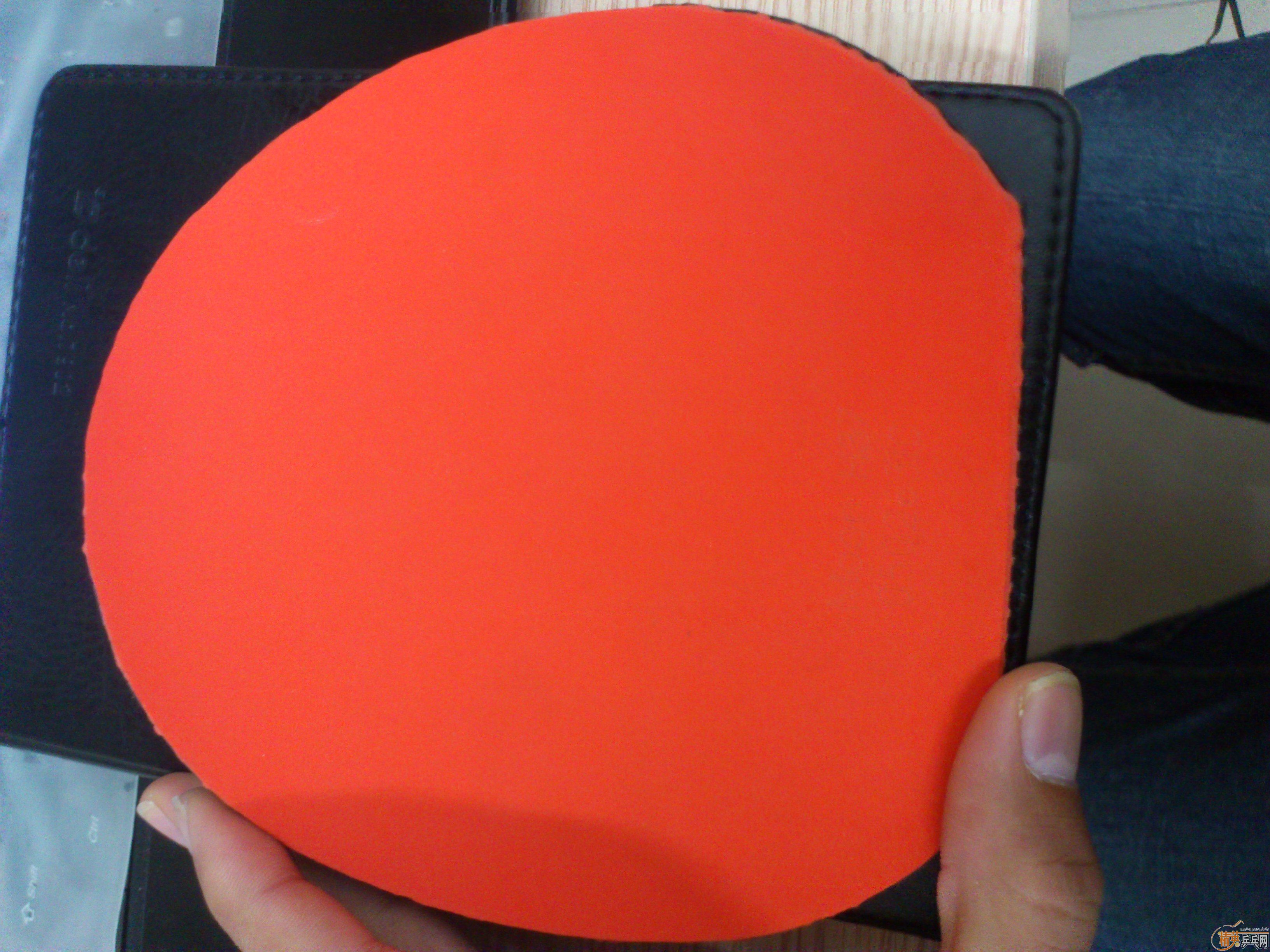 ���˳���ó�ɫ��Ƥ    ������2    ʡ��  FX ����  08