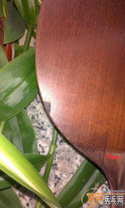 ŷ��������SENSE7.6