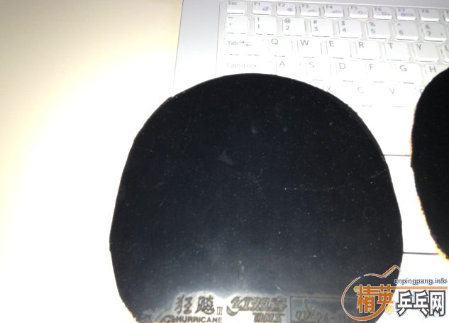 ----------------------------------����656һֻ---------------------------------