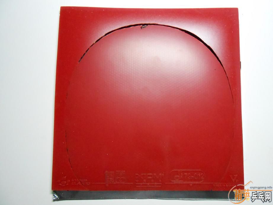 ���ѳ�������V���켫���׽�