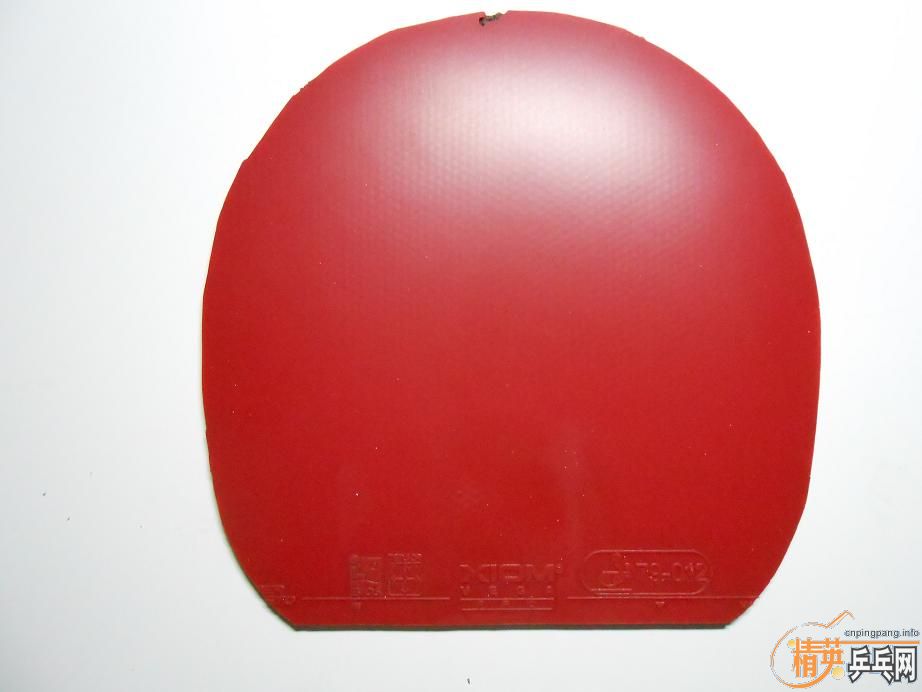 ���ѳ�������V���켫���׽�