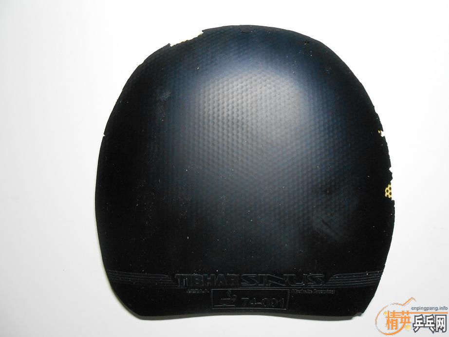 ���ѳ�������V���켫���׽�