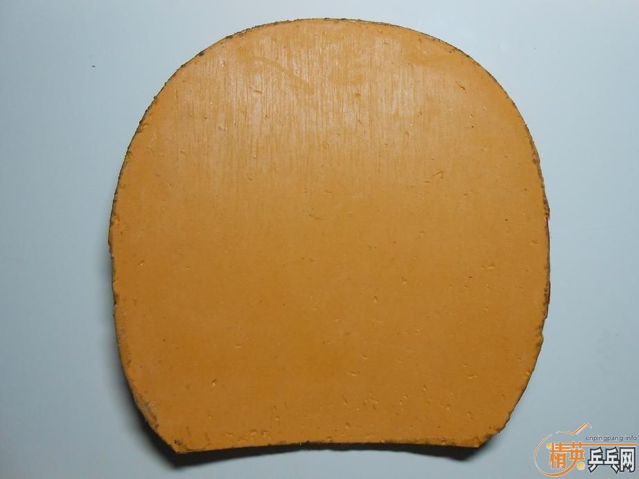 ���ѳ�������V���켫���׽�