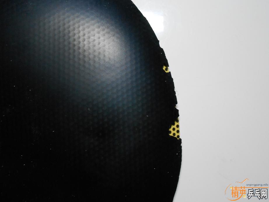 ���ѳ�������V���켫���׽�