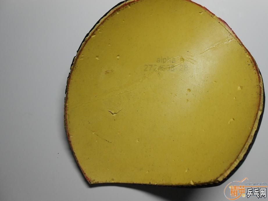 ���ѳ�������V���켫���׽�