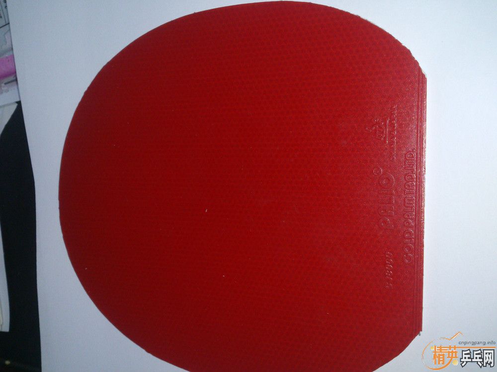 ����α��֤��˹�ٿ�TO����Ӧ���ˣ���ʹ�