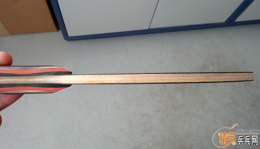 ��������������������һֻ9�����ϵ�ŷ��ͦ����̼�ʣ�300����