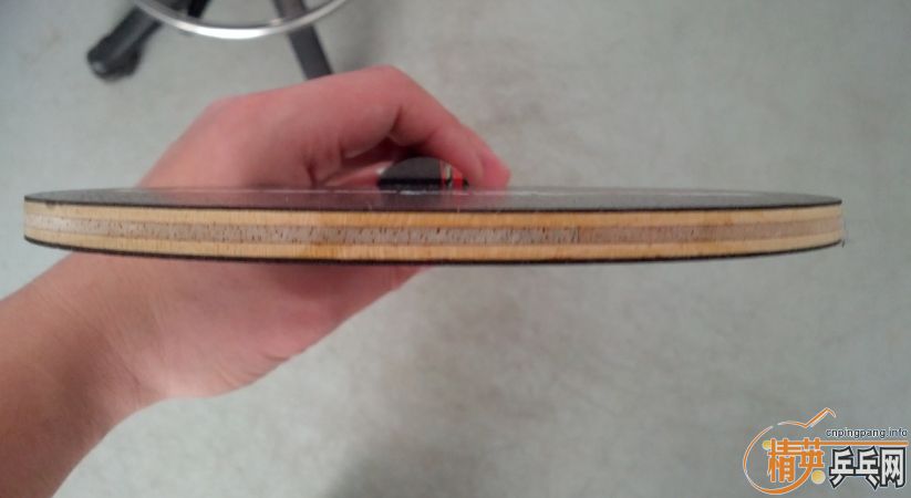 ��������������������һֻ9�����ϵ�ŷ��ͦ����̼�ʣ�300����