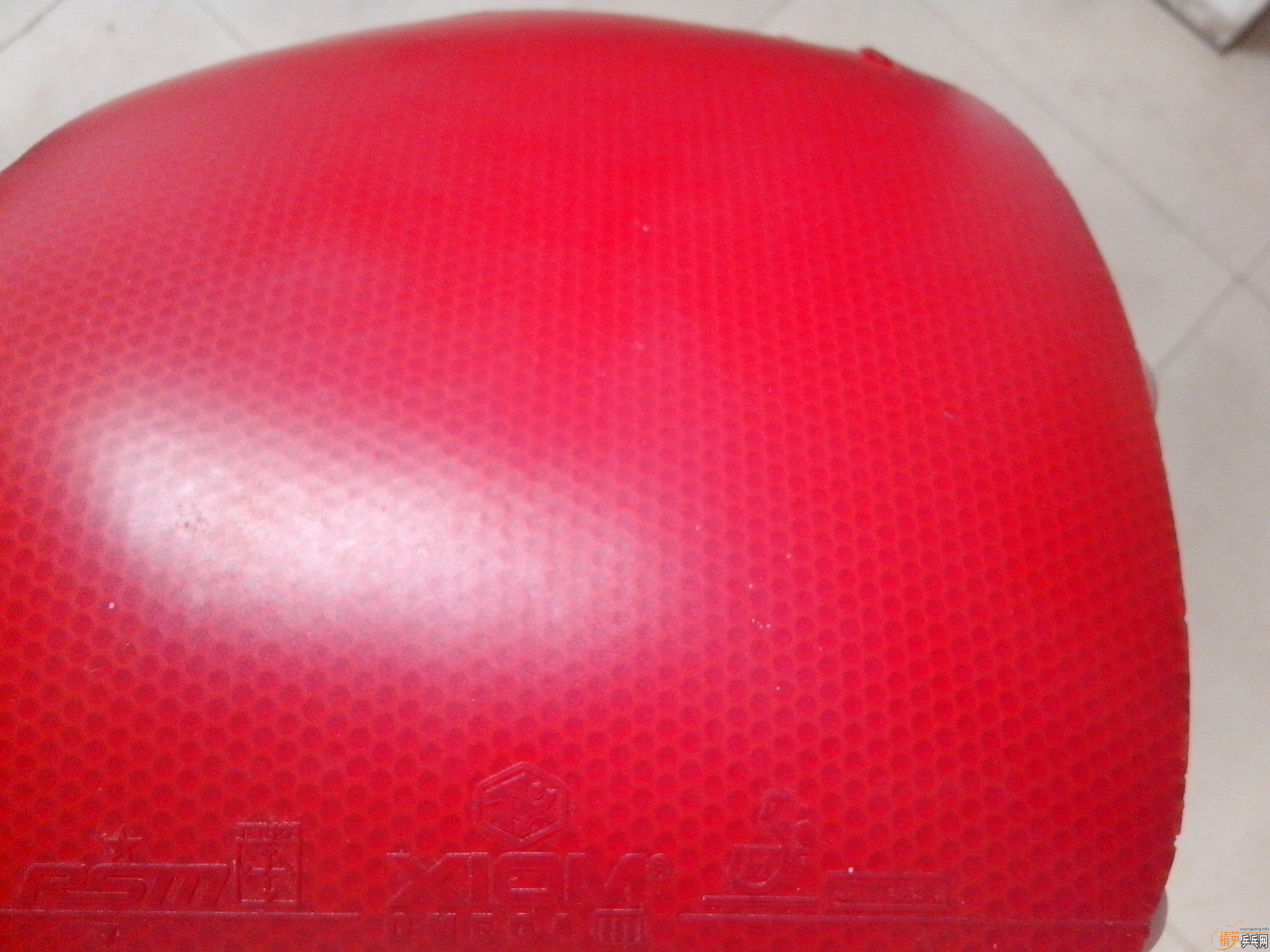 [����]5���׽���������ֱ������ֱ����