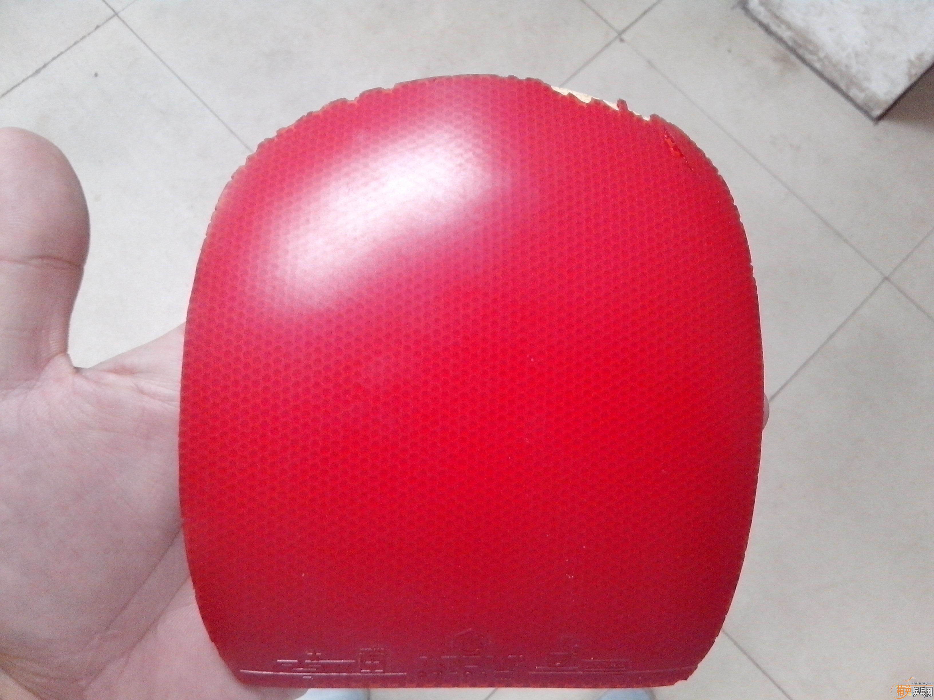 [����]5���׽���������ֱ������ֱ����