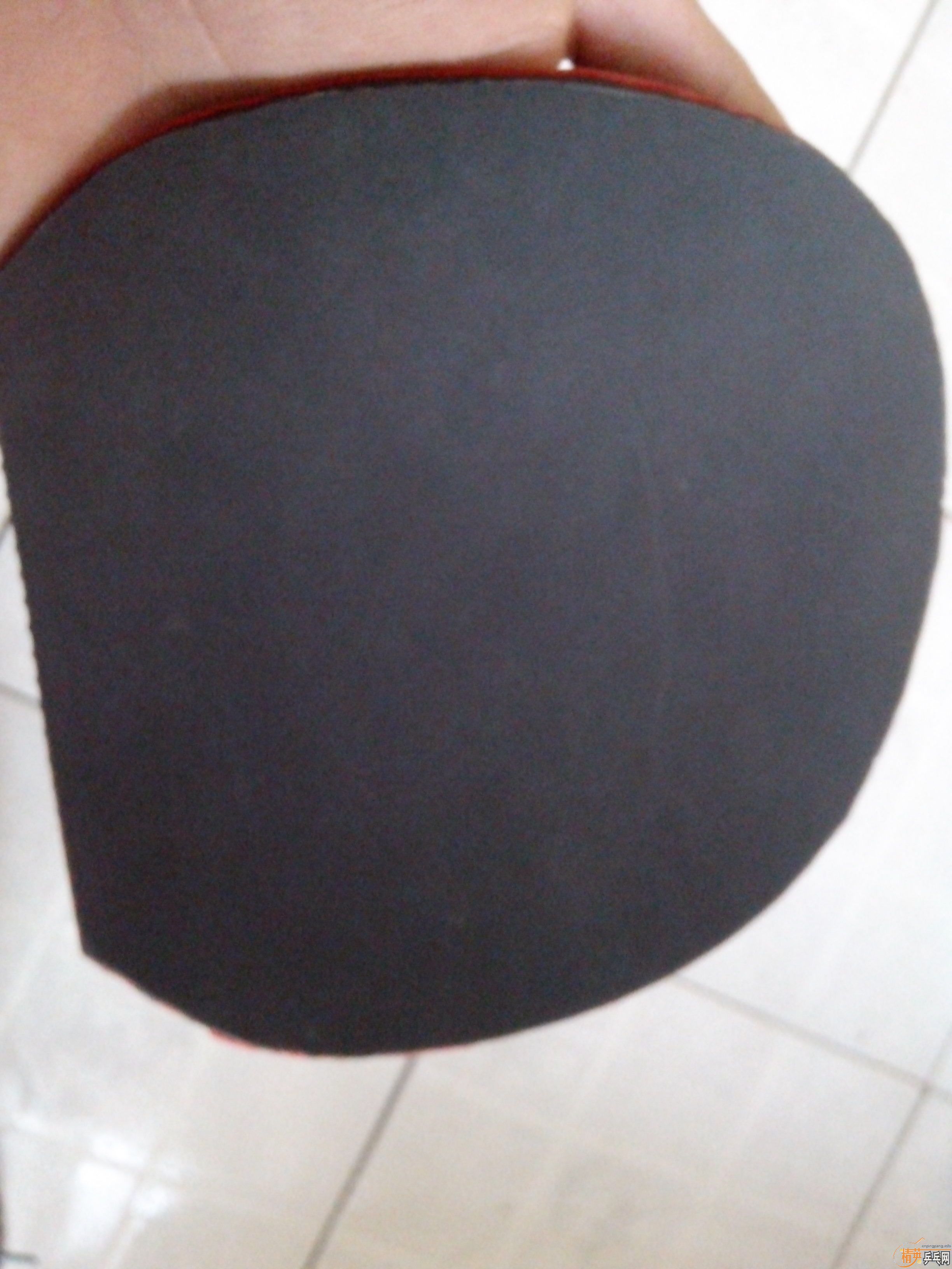 [����]5���׽���������ֱ������ֱ����