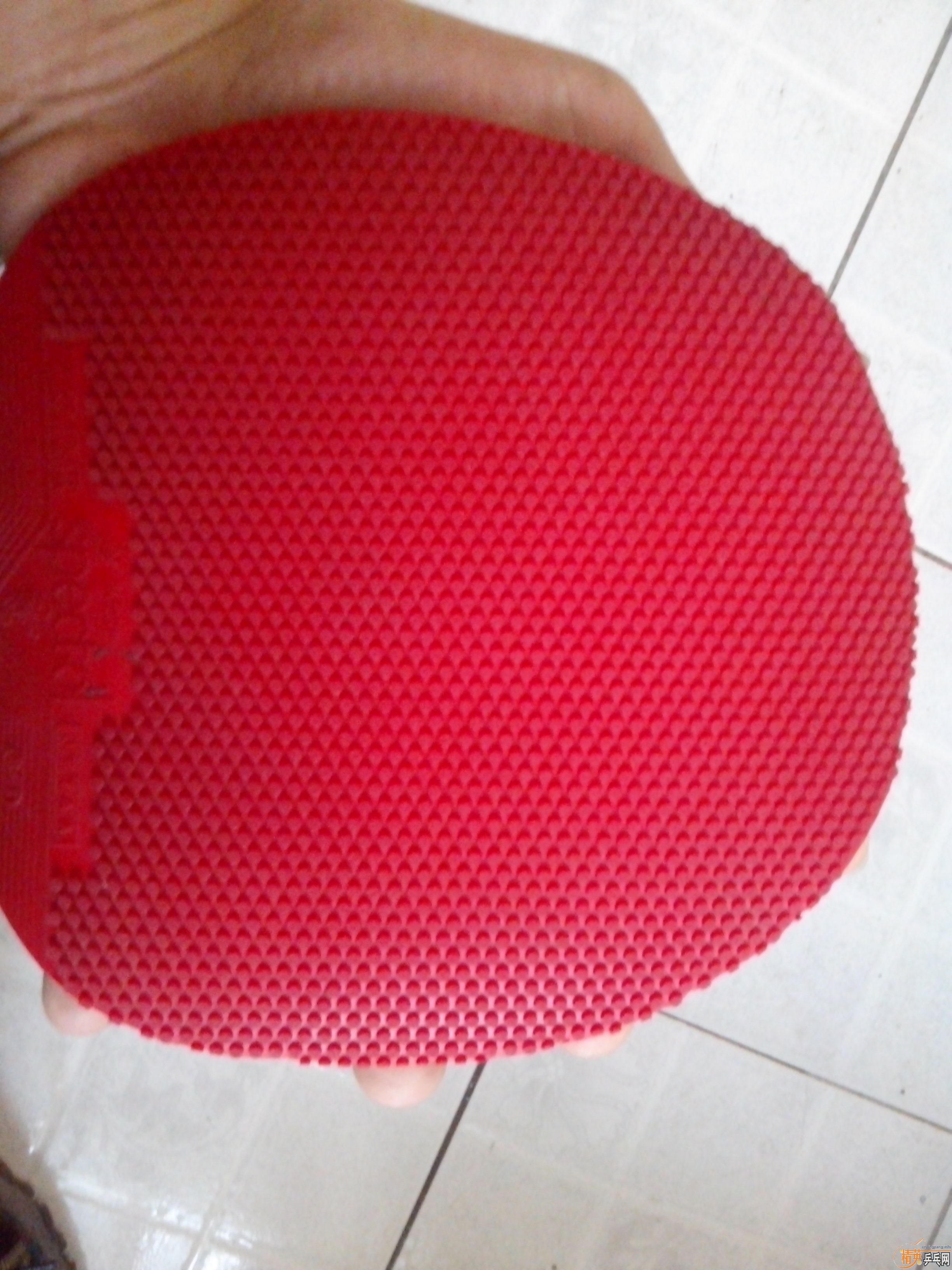 [����]5���׽���������ֱ������ֱ����