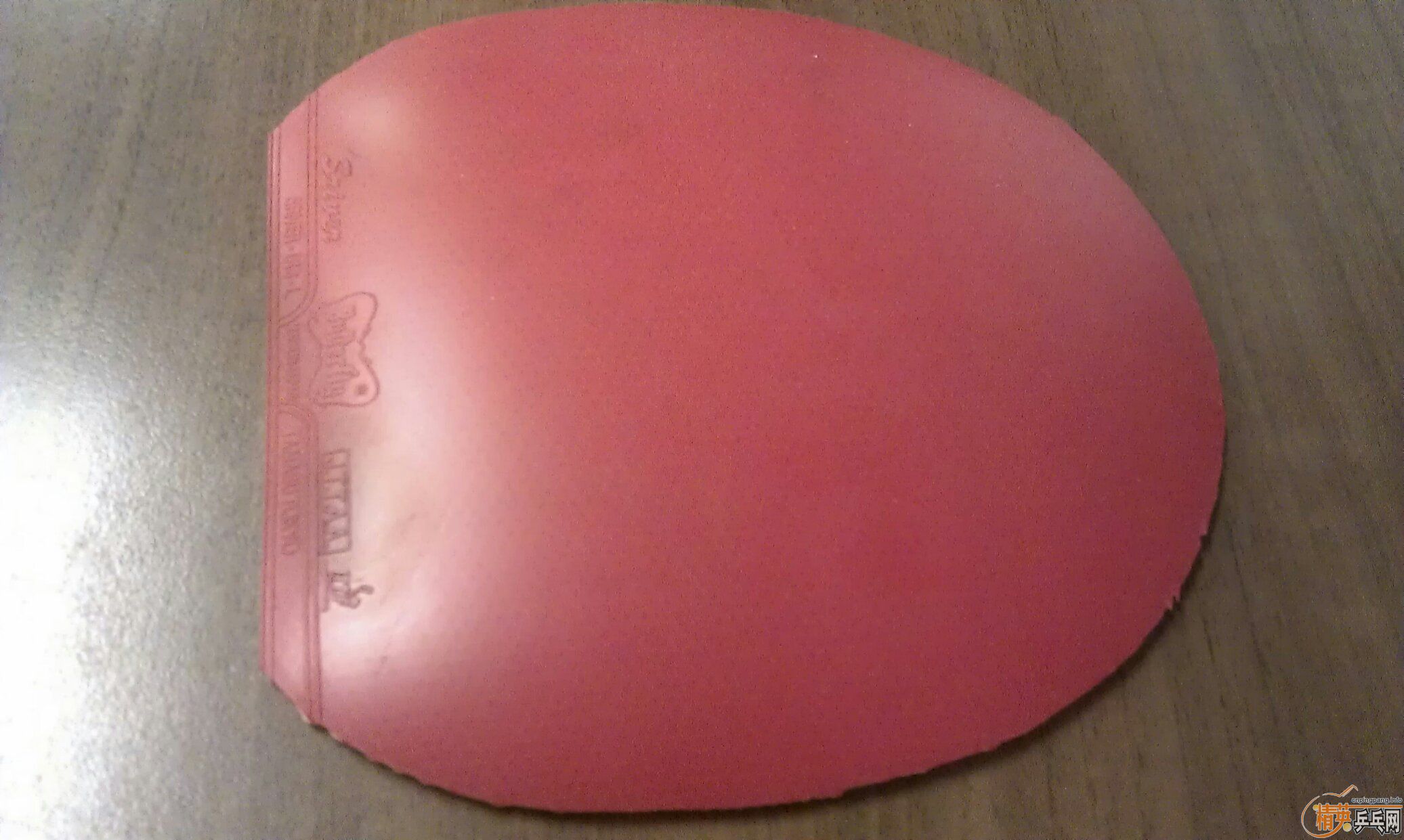 ����˹����L������ ��100������