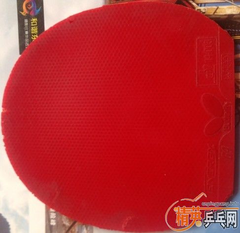 ������ͼ��������T64��F2��ͼƬ