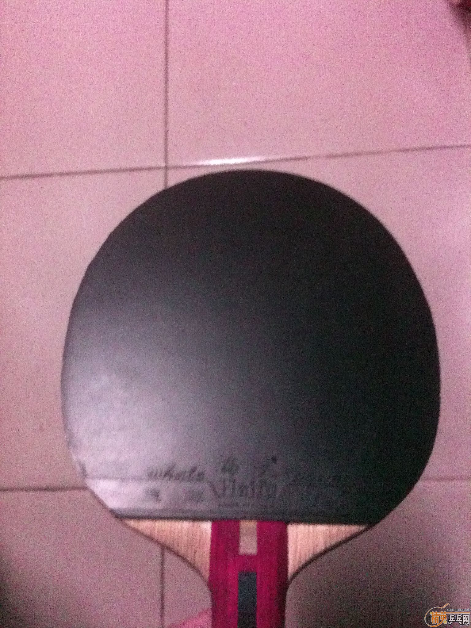 ��¥�۳�һ����DONIC  UP