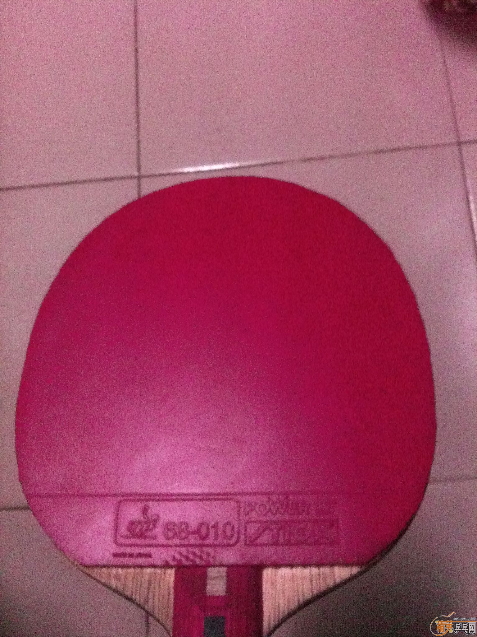 ��¥�۳�һ����DONIC  UP