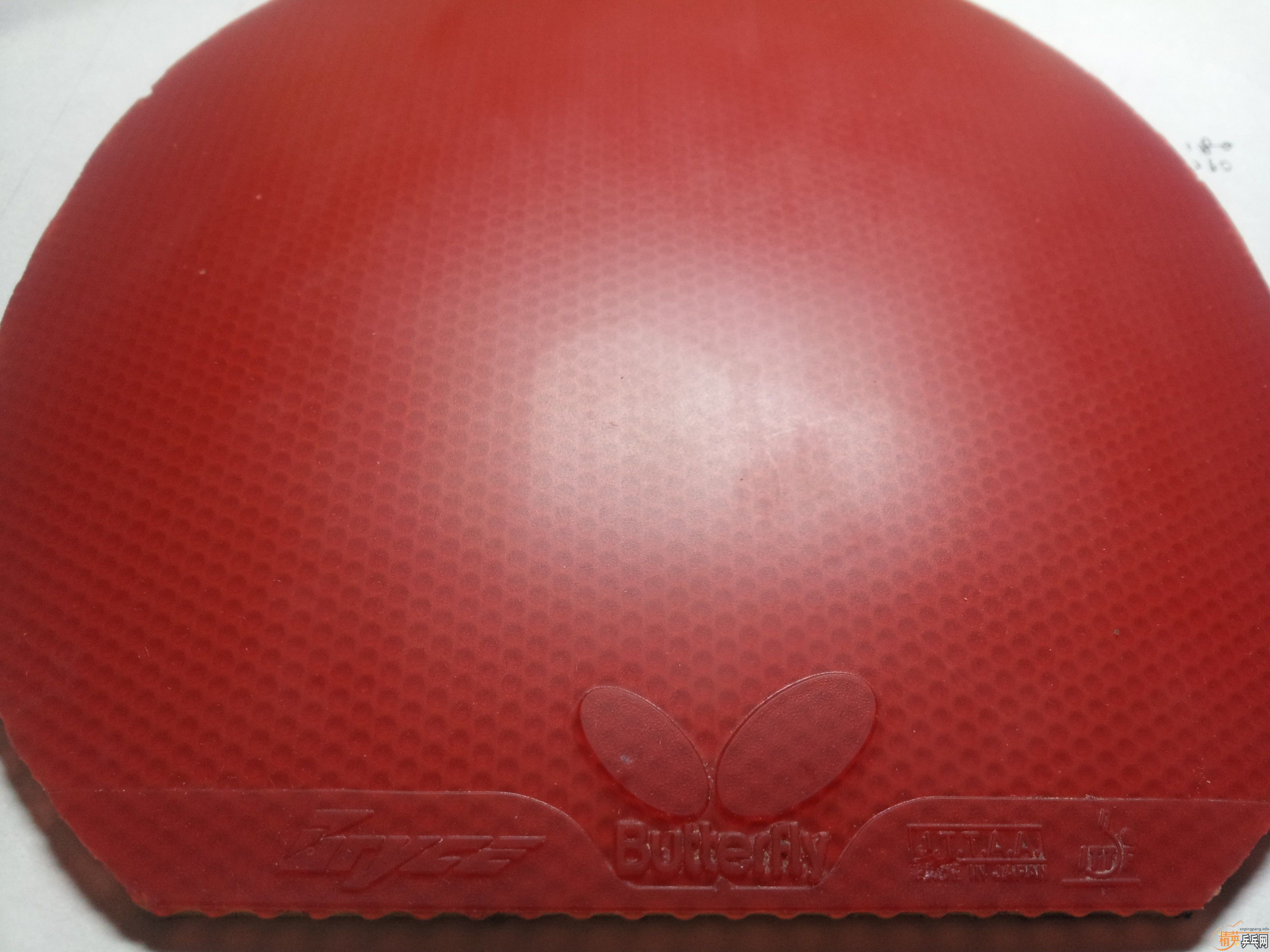 �������׽�