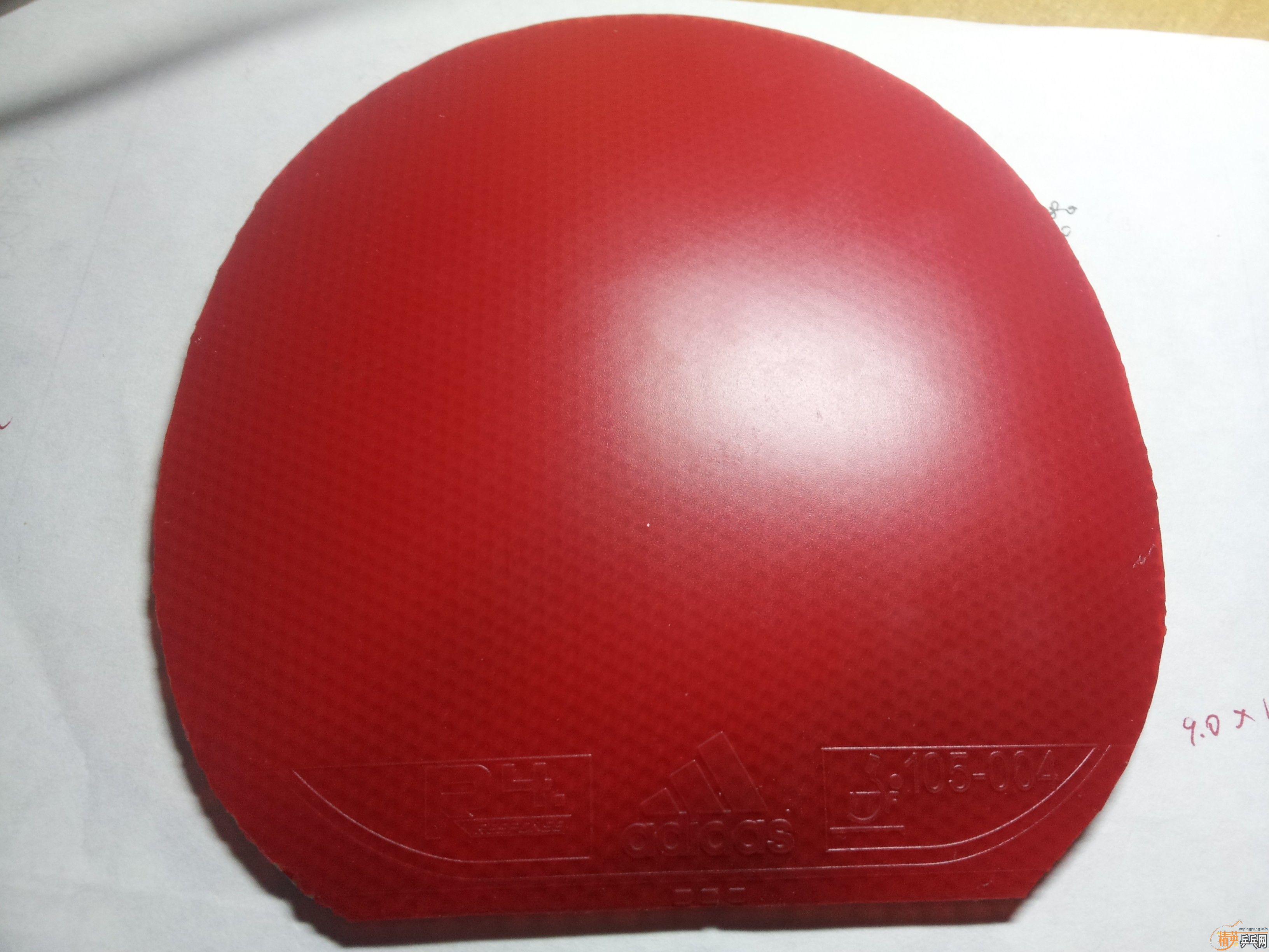 �������׽�