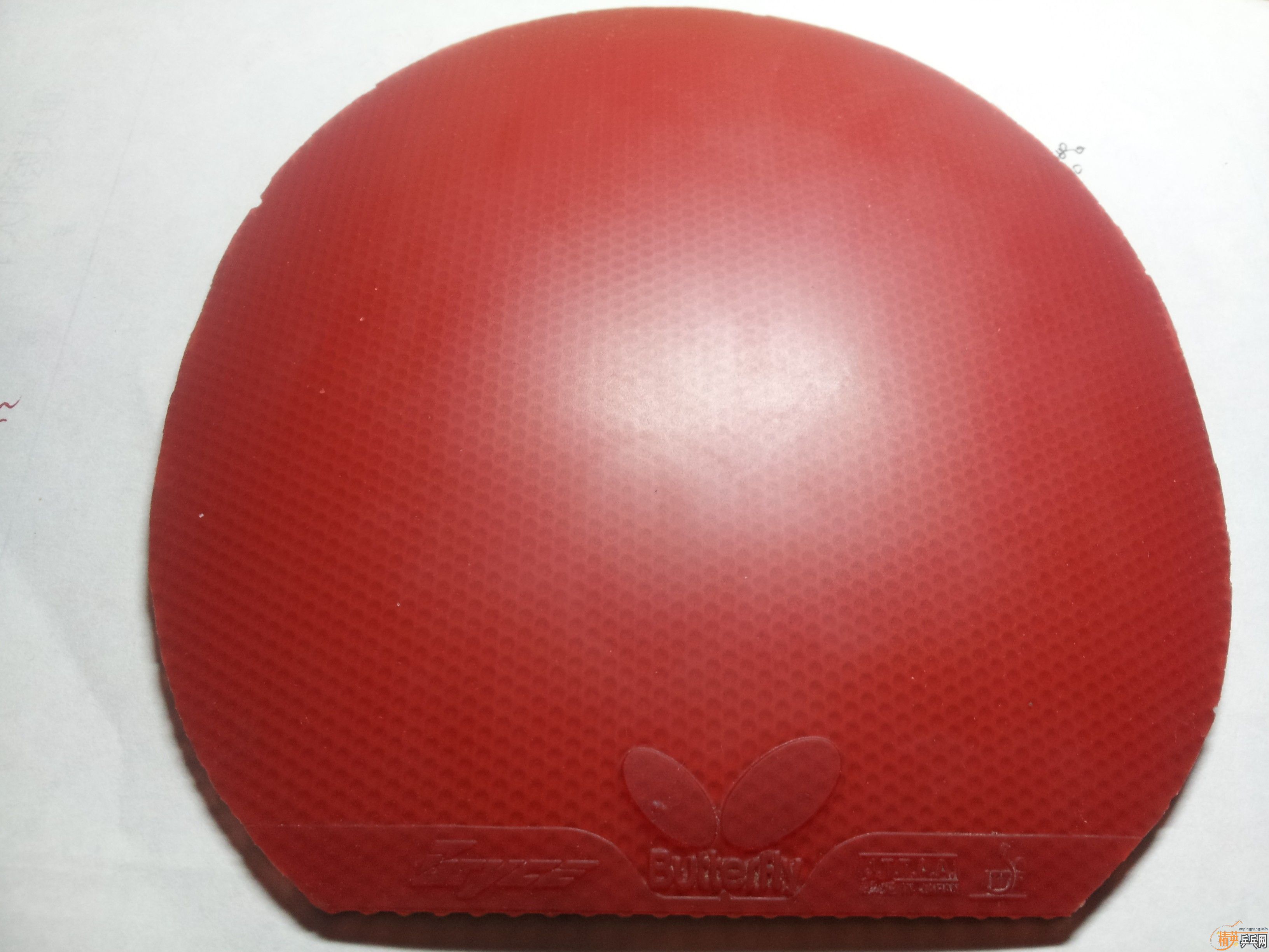 �������׽�