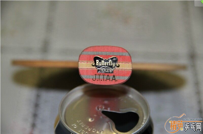 �����沨�������ù��ĵװ塰Timo Boll Spark��