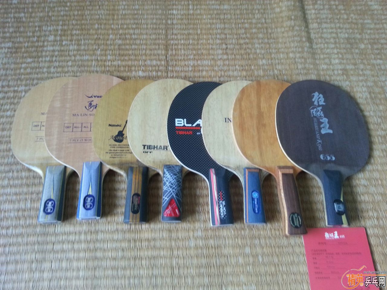 ������] ֱ�ĺ����������ӻ��Ѻ������������