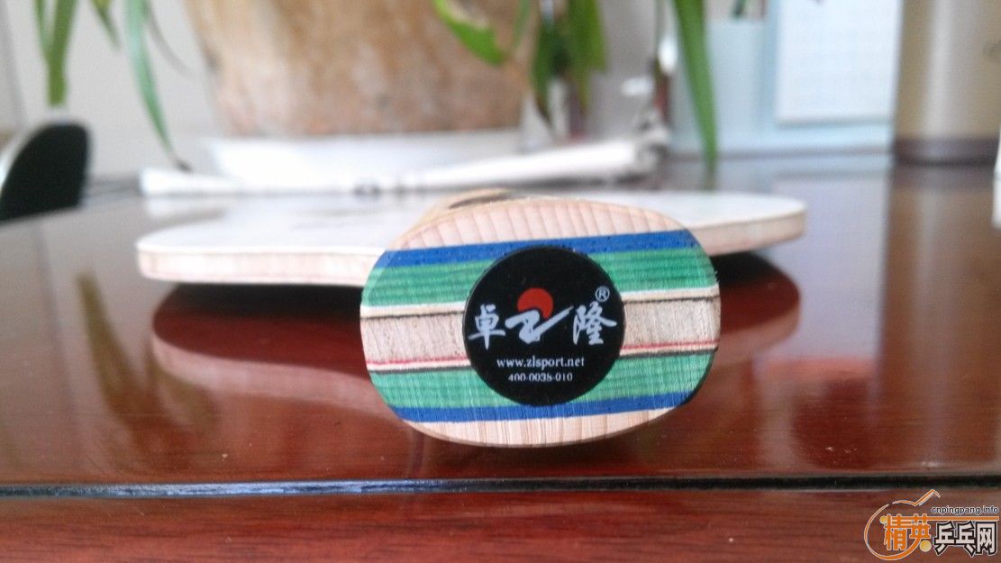 �ڰ�˫ɷ����ֵ��ӵ�С���ۭ��ͥ�ò�BL-1�Դ����