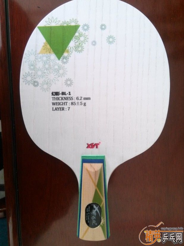 �ڰ�˫ɷ����ֵ��ӵ�С���ۭ��ͥ�ò�BL-1�Դ����