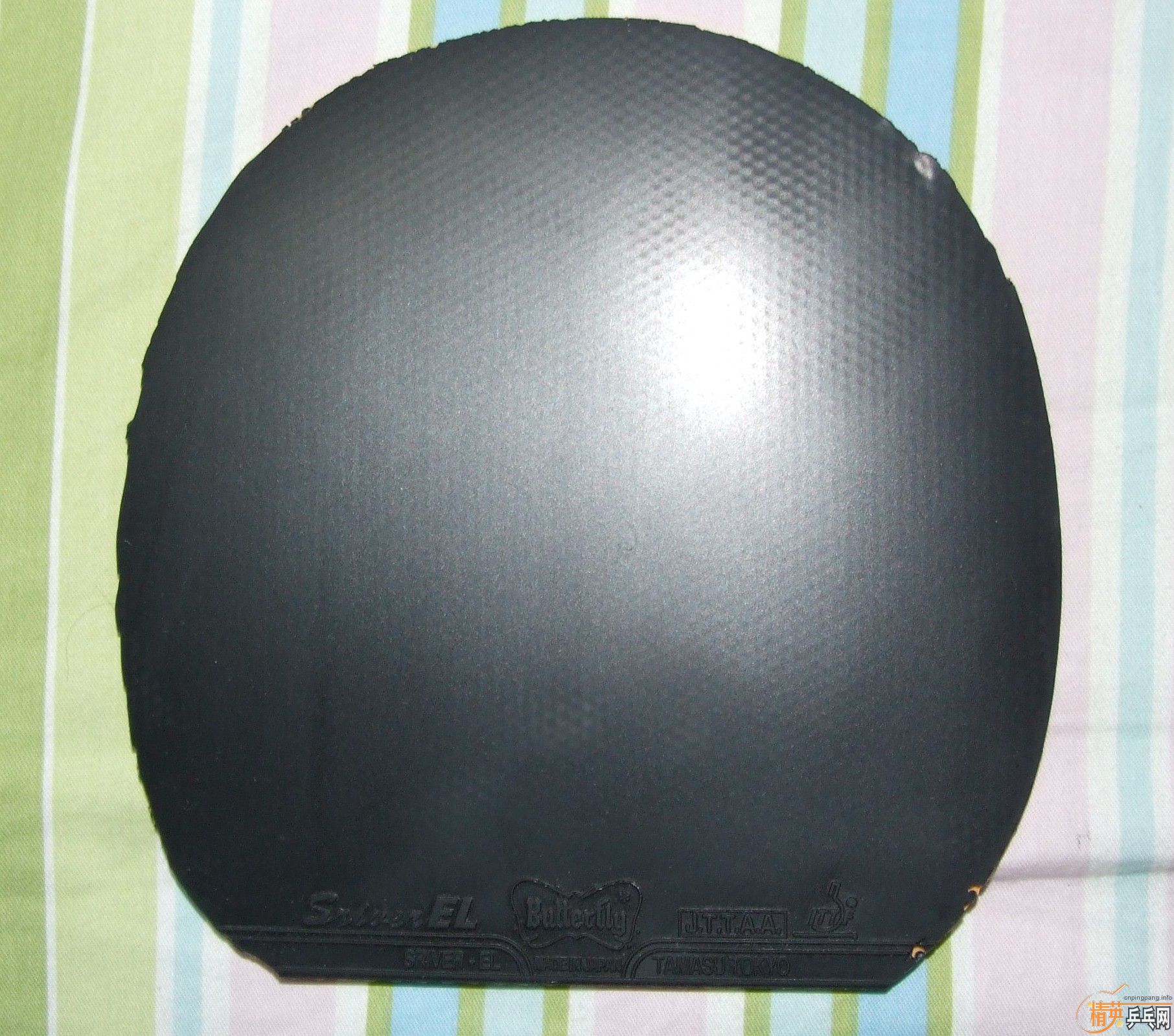 �����Ž�Ƥ��SRIVER EL,MAX,��ɫ���������רҵѵ���ף���ɫ�����158���ʡ�֧�������ס����𲻵���ī����