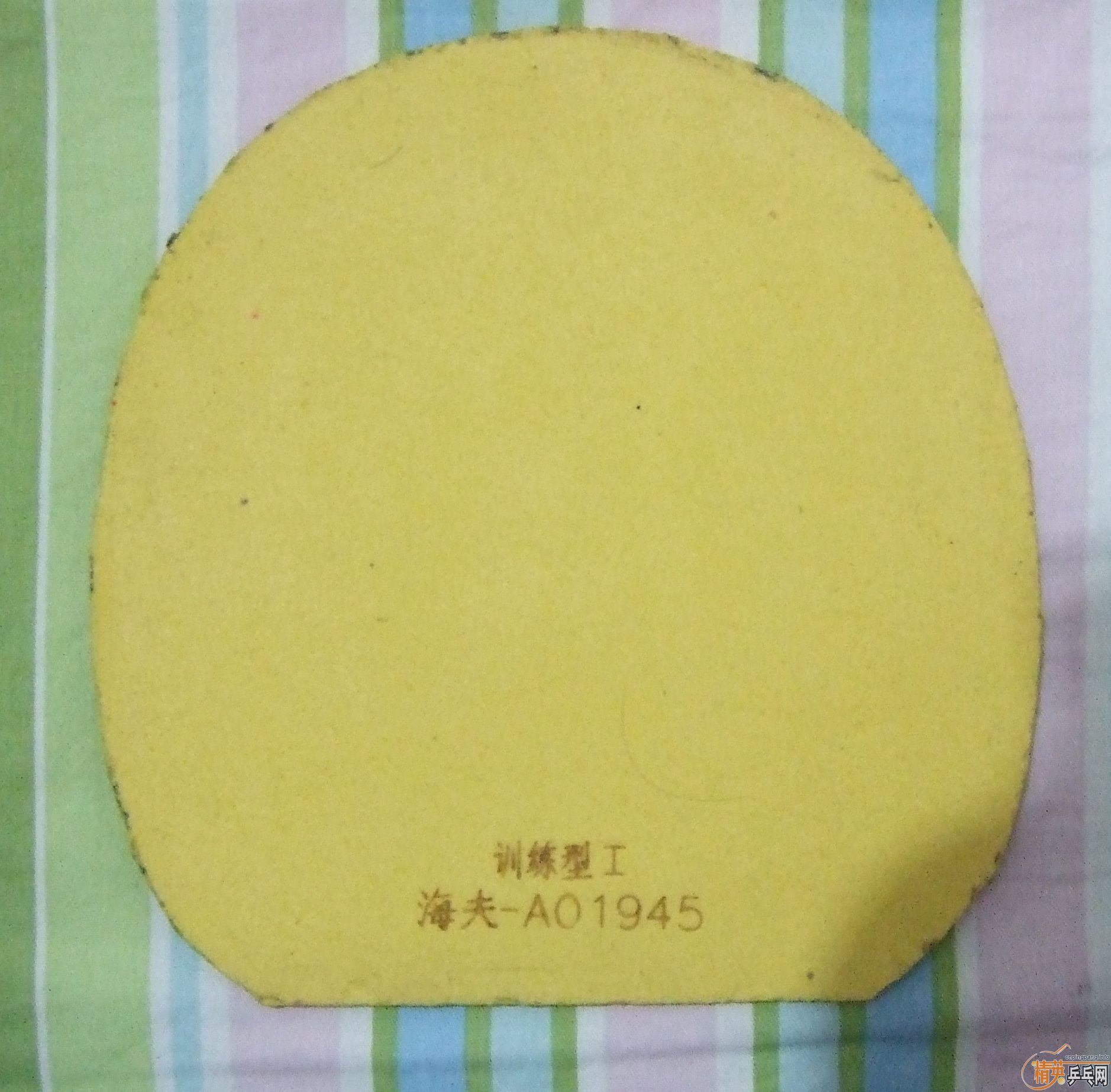 �����Ž�Ƥ��SRIVER EL,MAX,��ɫ���������רҵѵ���ף���ɫ�����158���ʡ�֧�������ס����𲻵���ī����