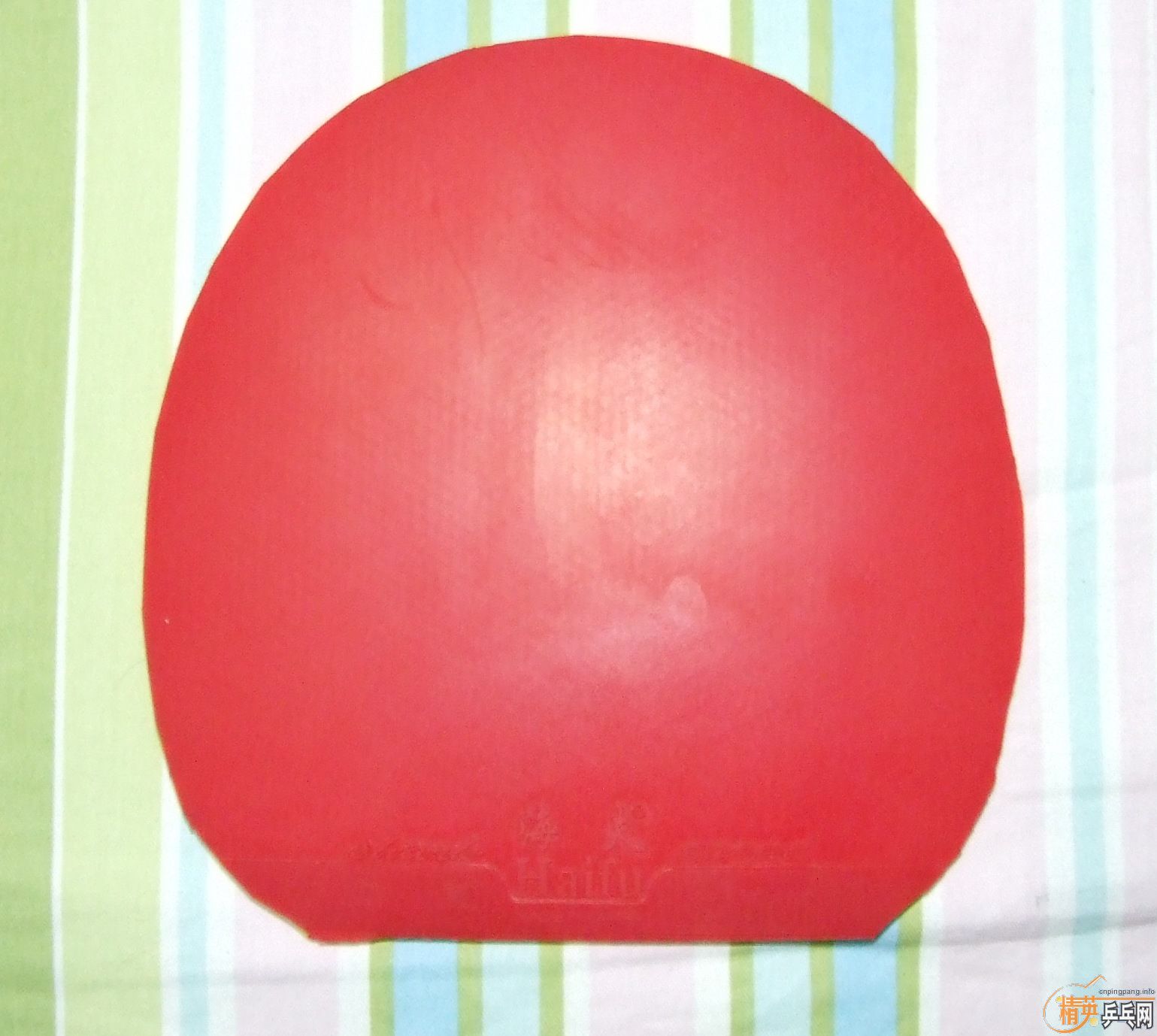 �����Ž�Ƥ��SRIVER EL,MAX,��ɫ���������רҵѵ���ף���ɫ�����158���ʡ�֧�������ס����𲻵���ī����