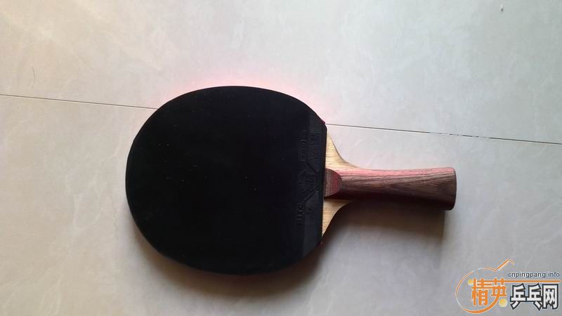 ���ó�ɫ�л�˹�ٿ�CL��ʡ��˹����EL����������������������