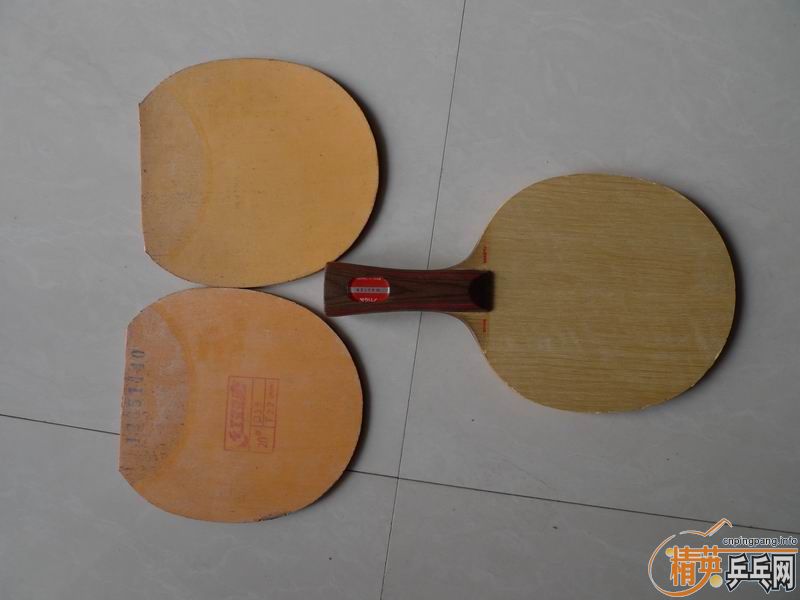 ���ó�ɫ�л�˹�ٿ�CL��ʡ��˹����EL����������������������