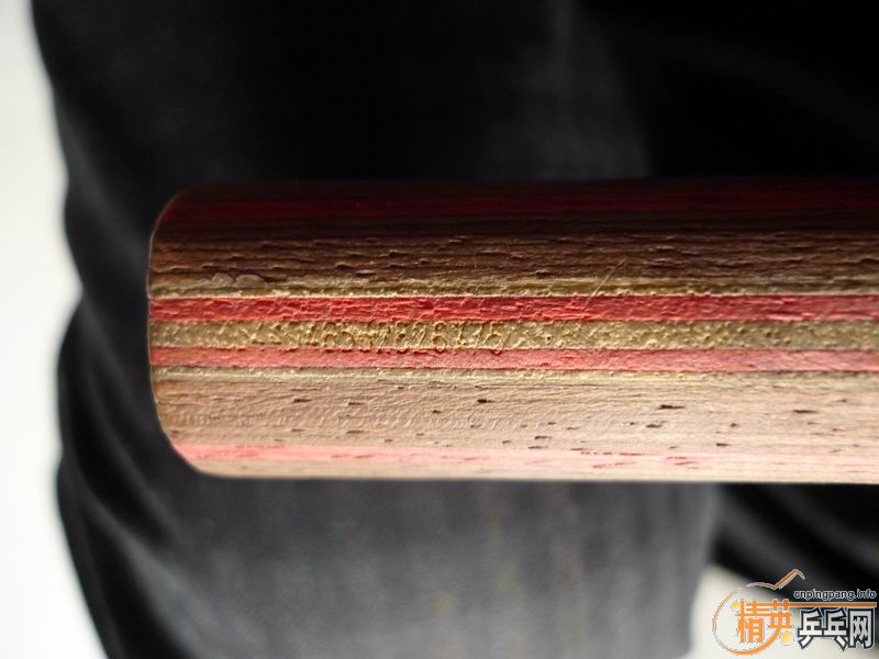 ���ó�ɫ�л�˹�ٿ�CL��ʡ��˹����EL����������������������