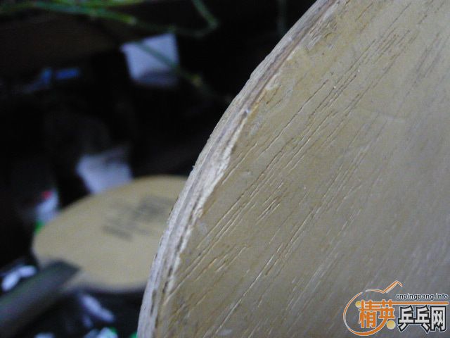 �������ƺ������ֽ�������һֻpower-7-cs