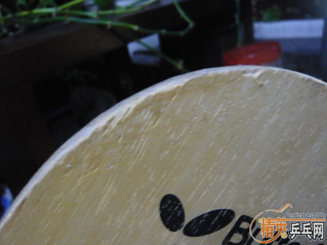 �������ƺ������ֽ�������һֻpower-7-cs