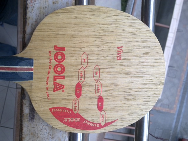 VIVA FL 88g �����ã���壬̽�꣩