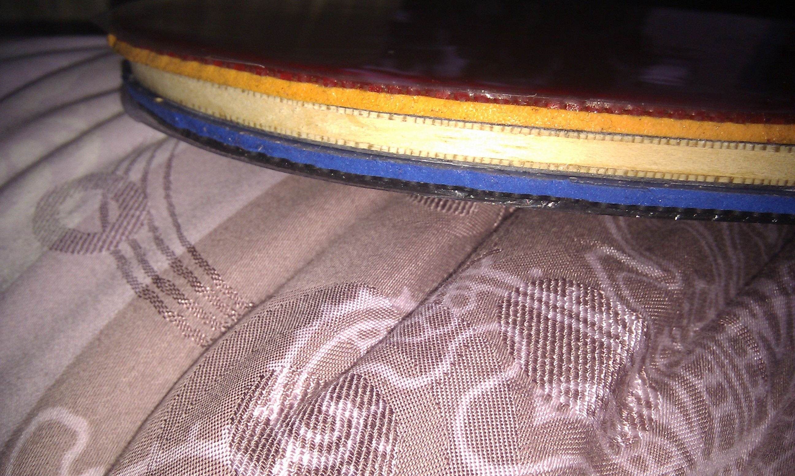 [����]ʡ��רҵ�����656�����λ����Ѱѹأ�����α������