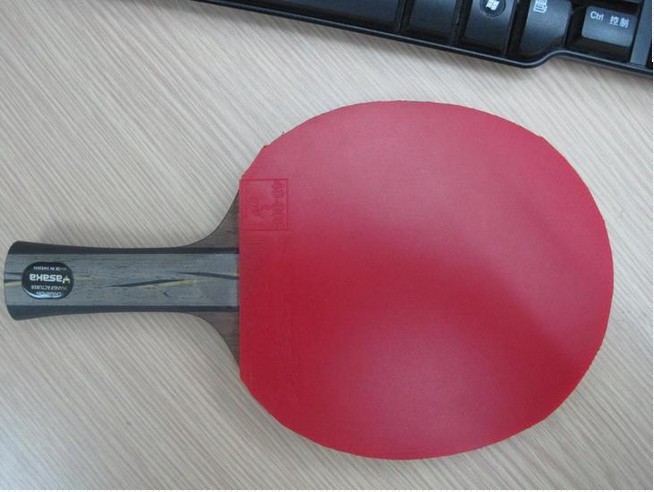 ��YASAKA YEO����FL 220Ԫ֧��֧����