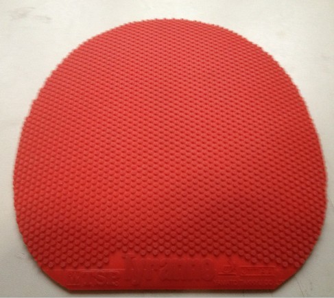 ���������������������� ������ϵ��