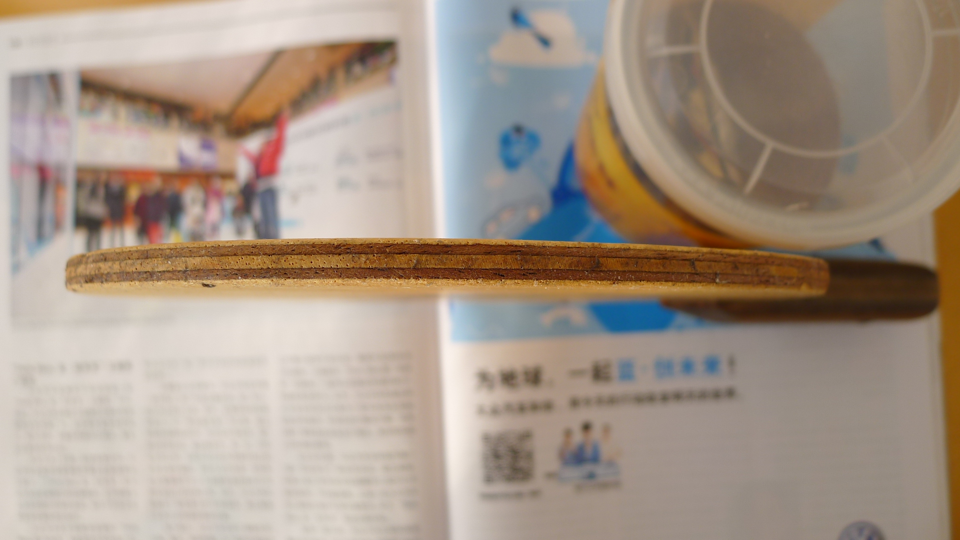 ���ѳ�����һ֧��350Ԫ��֧��֧������