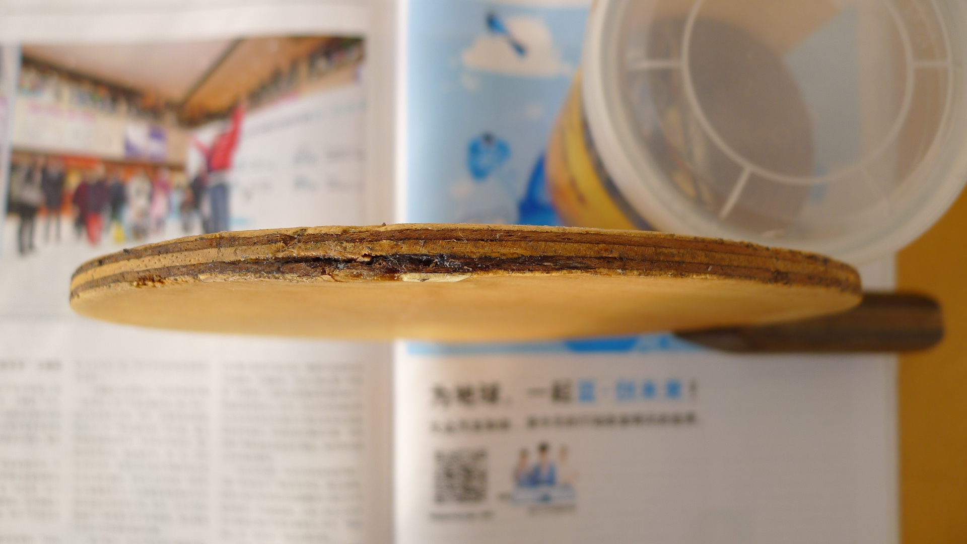 ���ѳ�����һ֧��350Ԫ��֧��֧������