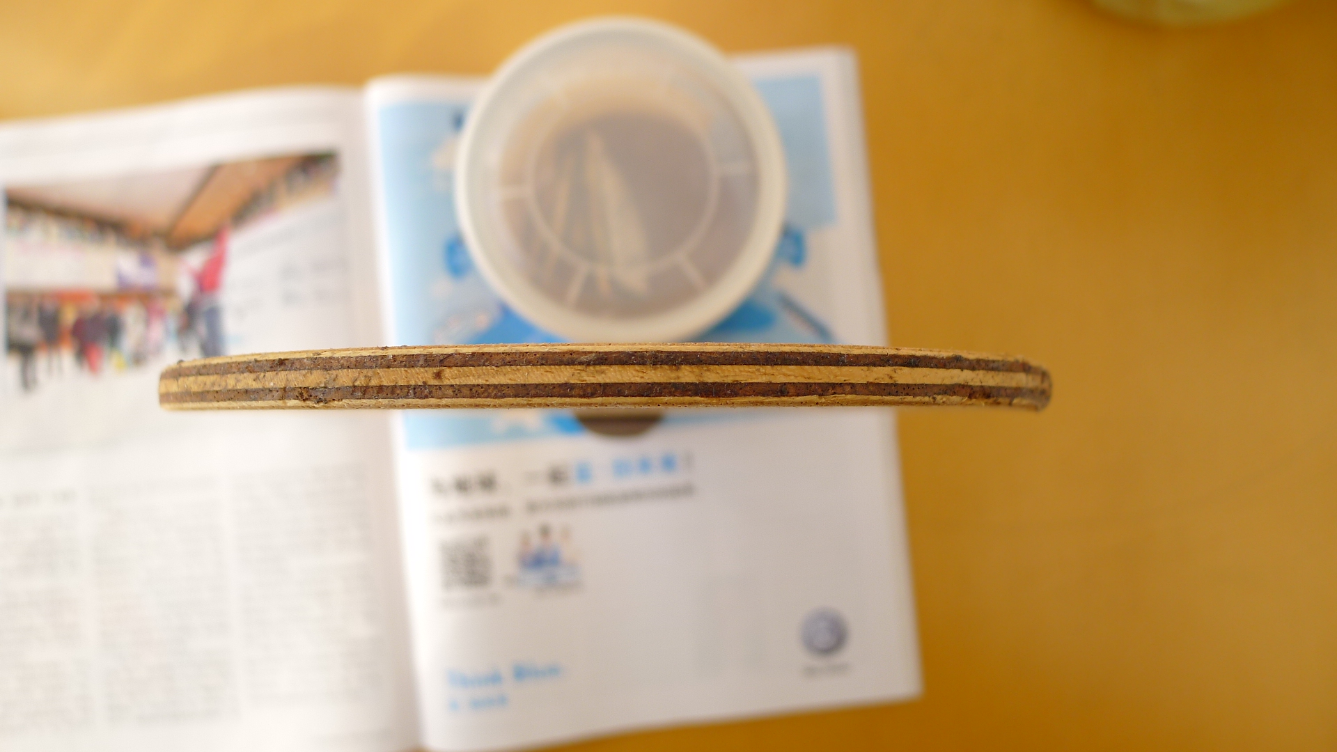 ���ѳ�����һ֧��350Ԫ��֧��֧������