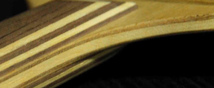 �����ƿƱ���������