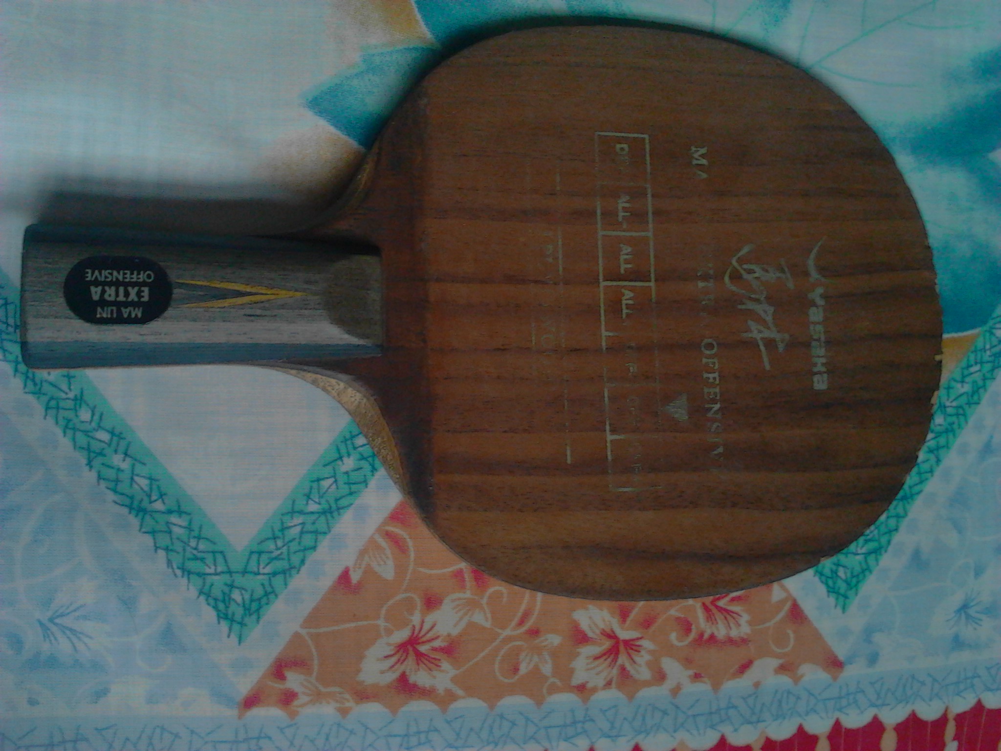 ���������е�ë������OC�Լ���Ƥ���˶�����