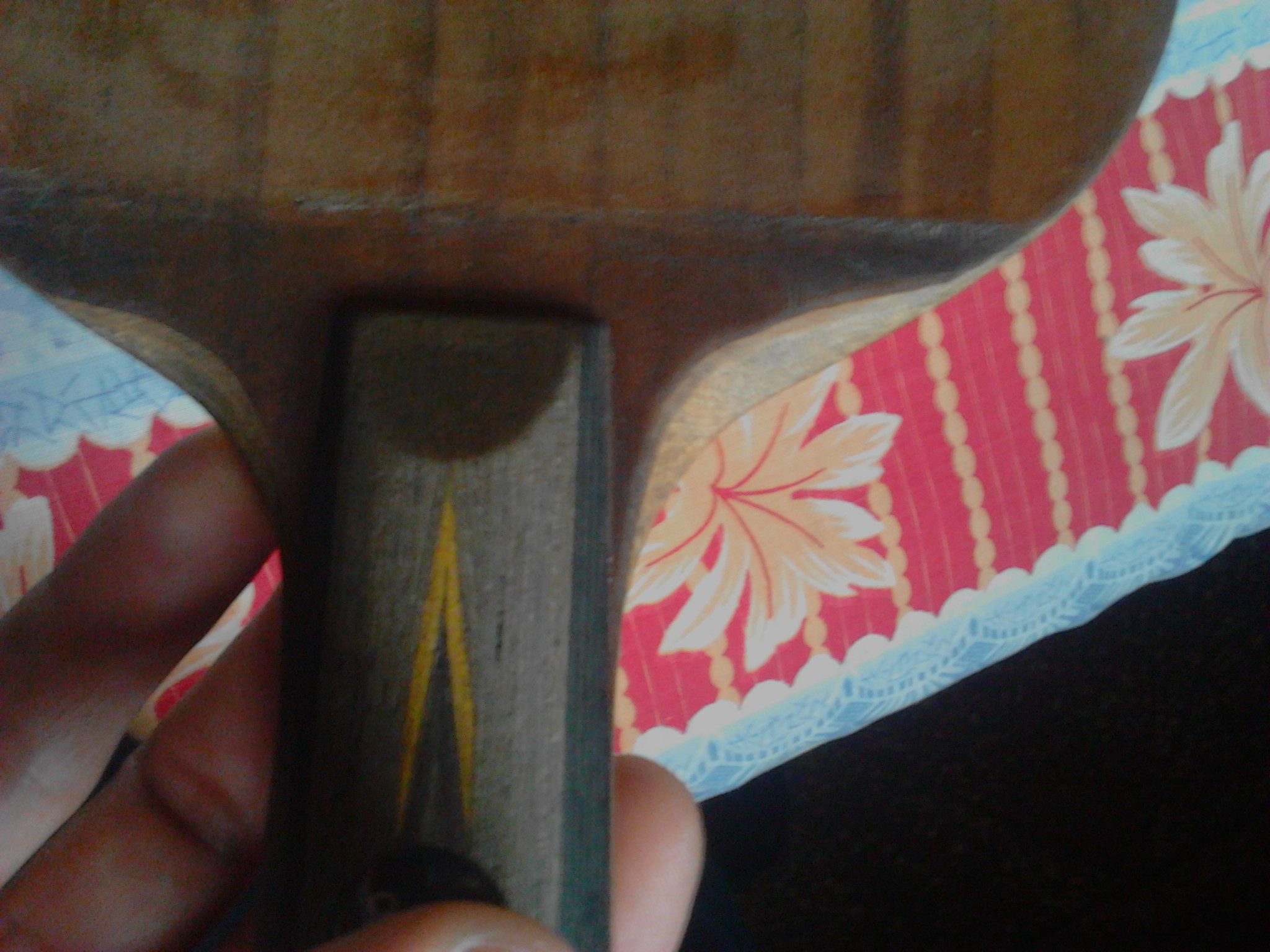 ���������е�ë������OC�Լ���Ƥ���˶�����