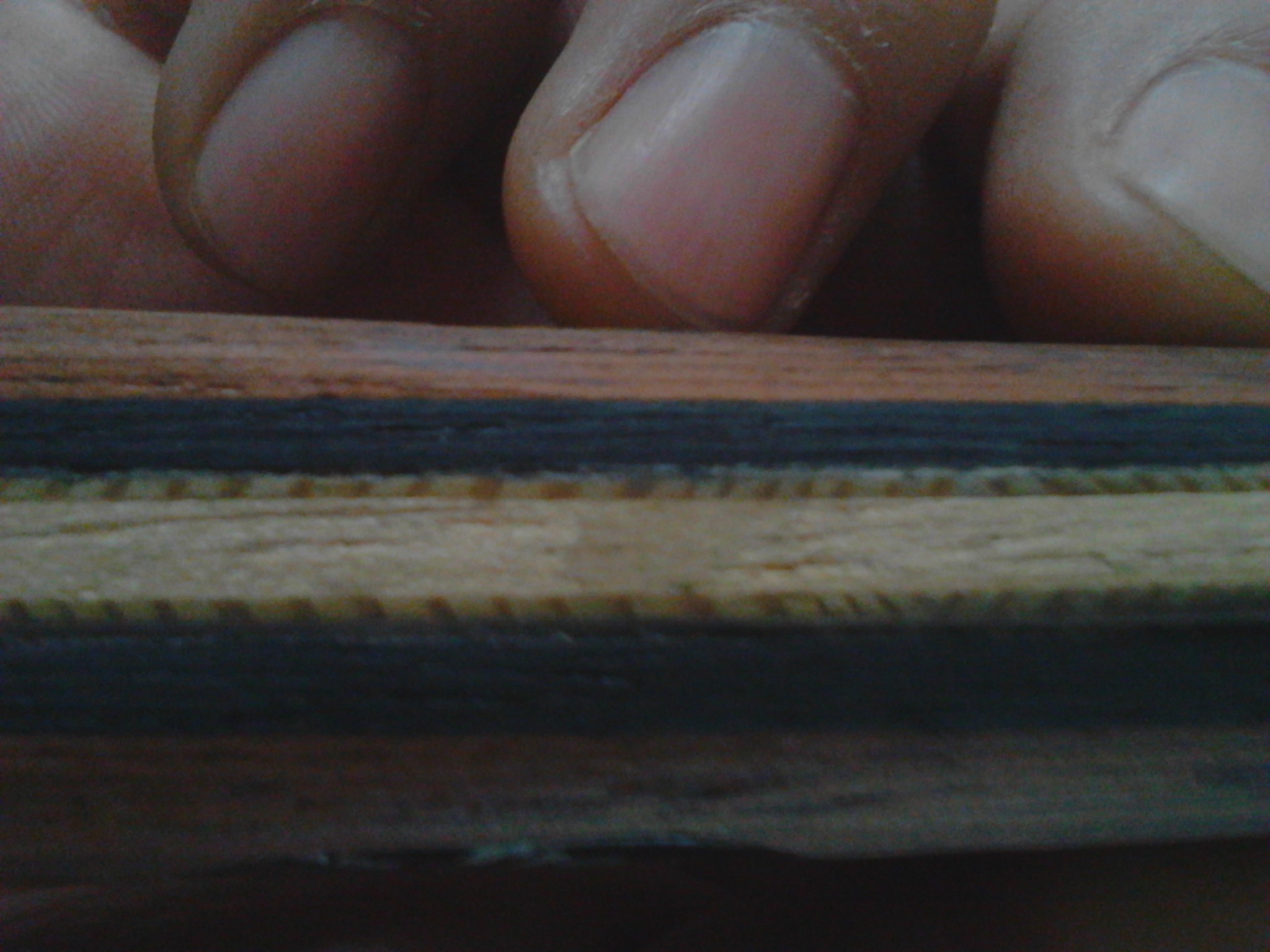 ���������е�ë������OC�Լ���Ƥ���˶�����