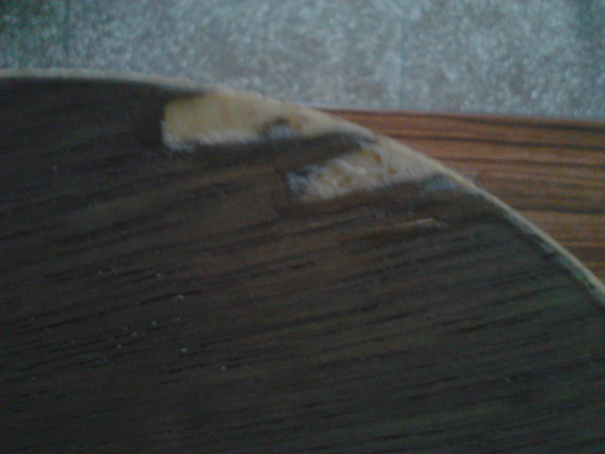 ���������е�ë������OC�Լ���Ƥ���˶�����