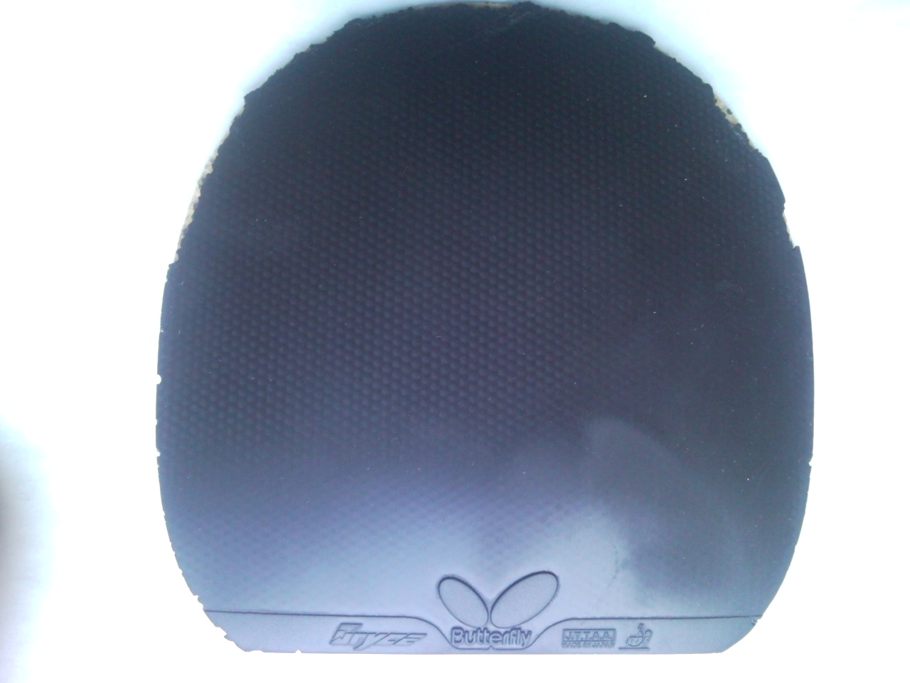 �����������180Ԫ���죡֧�������ס�