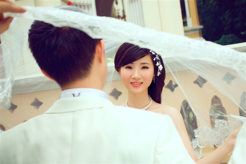 TG825+ˮCL+˳��ĸ�=425Ԫ